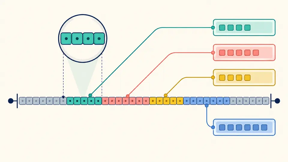 A sequence of bytes branches into numbered fields, each connected to its own byte span.
